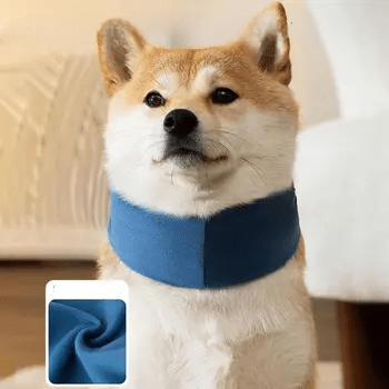 Cache Oreille - DogSoftEarmuffs™ - Bleu