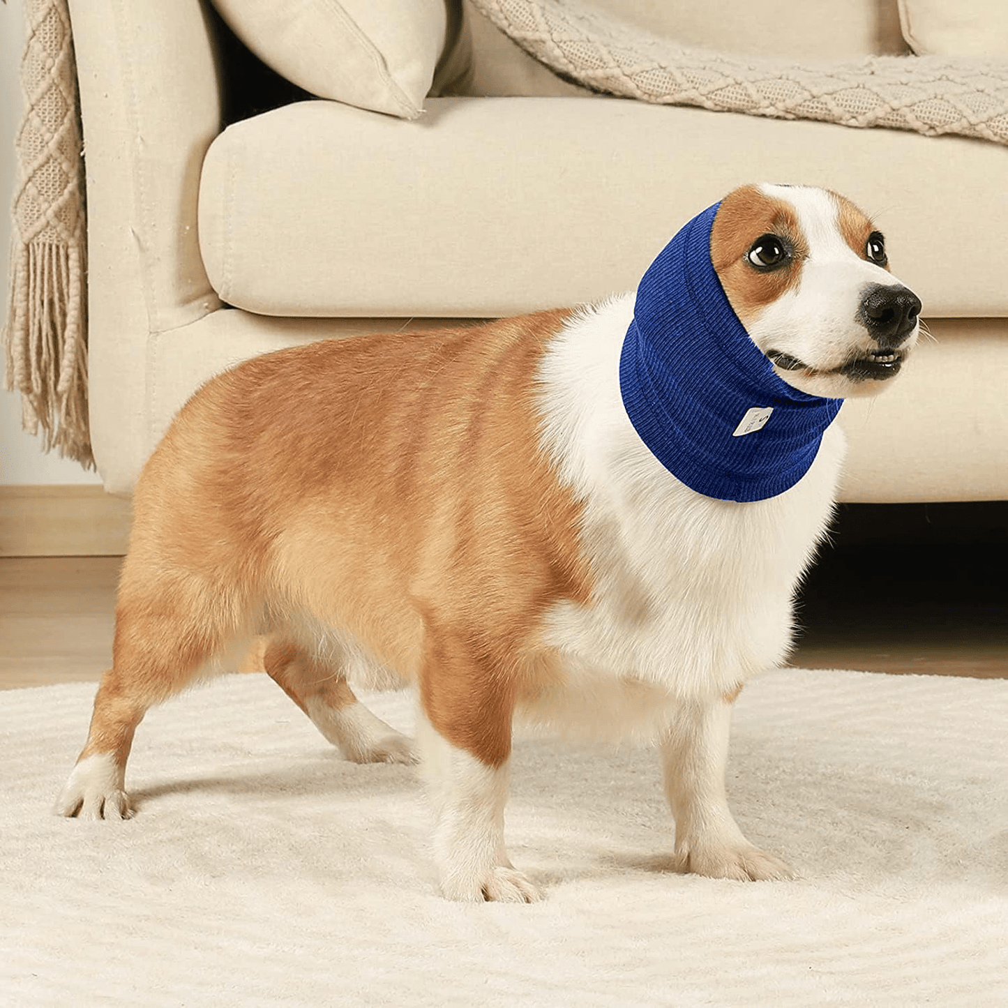 Cache Oreille - DogSoftEarmuffs™ - Bleu