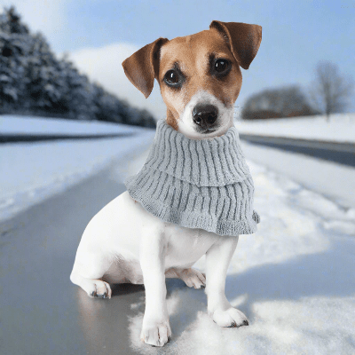 Cache Oreille - DogSoftEarmuffs™ - Gris