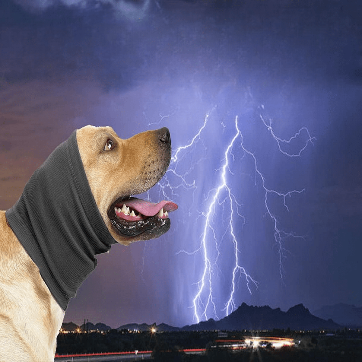 Cache Oreille - DogSoftEarmuffs™ - Gris Foncé