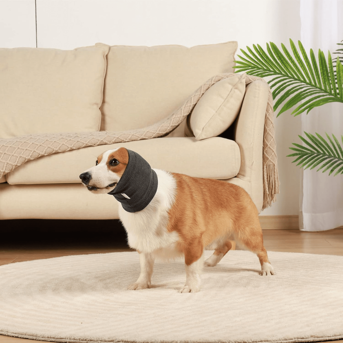Cache Oreille - DogSoftEarmuffs™ - Gris Foncé
