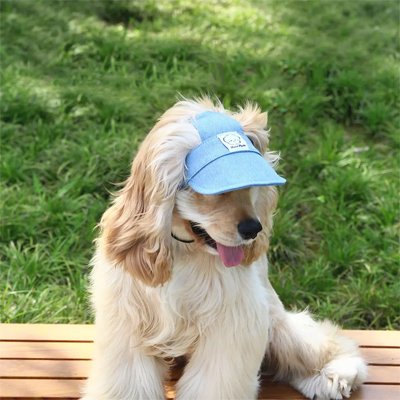 Casquette chienâ