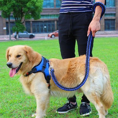 Laisse pour Chien