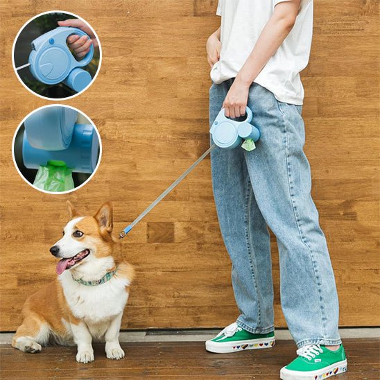 Laisse pour chien longueur ajustable
