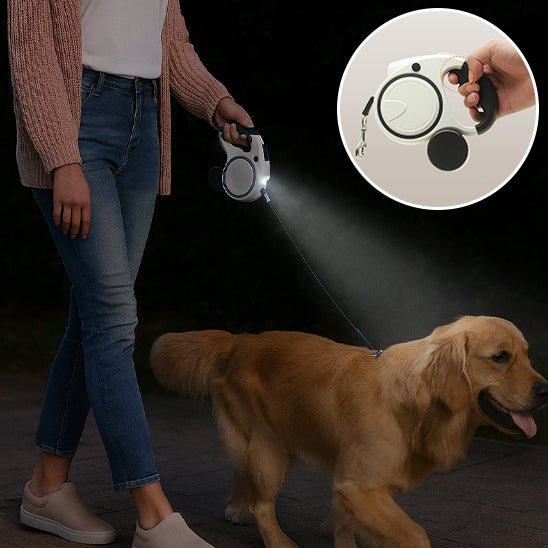 Laisse pour chien avec eclairage-distance ajustable