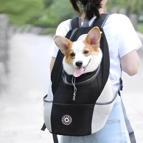 Sac Ă dos pour chien
