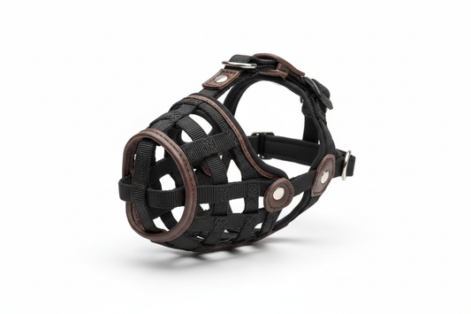 Muselière pour chien