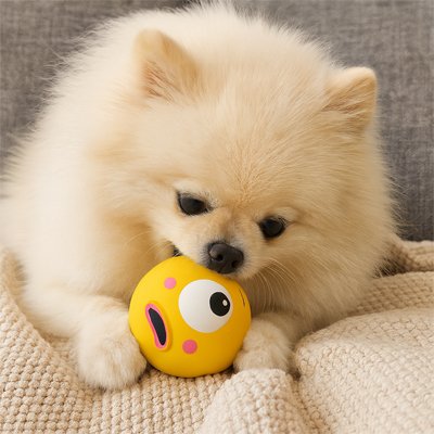 Balle pour Chien