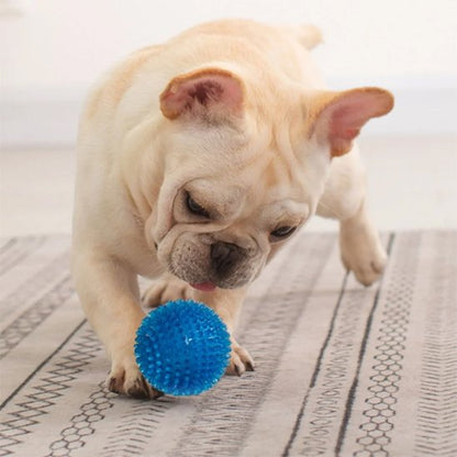 Balle pour Chien