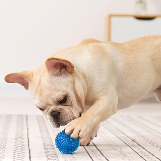 Balle pour Chien