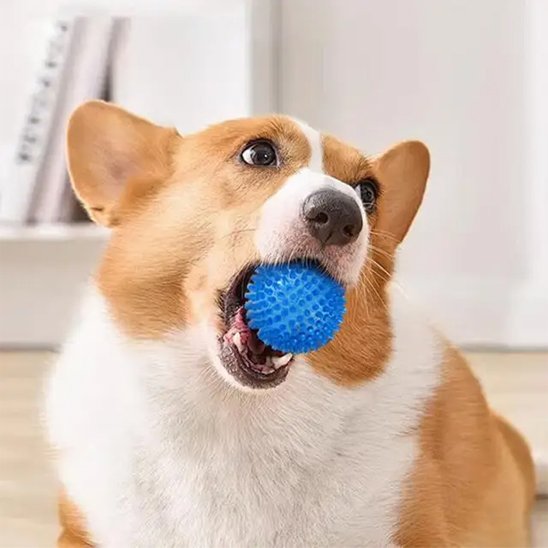 Balle pour Chien