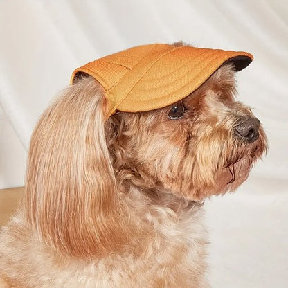 Casquette chien​
