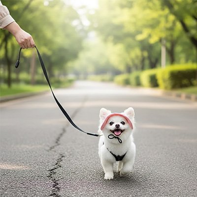 Casquette chien​