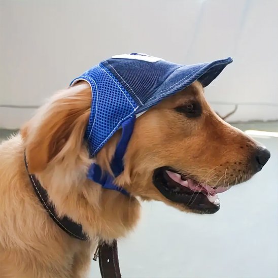 Casquette chien​