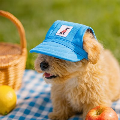 Casquette chien​
