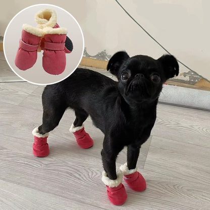 chaussure chien