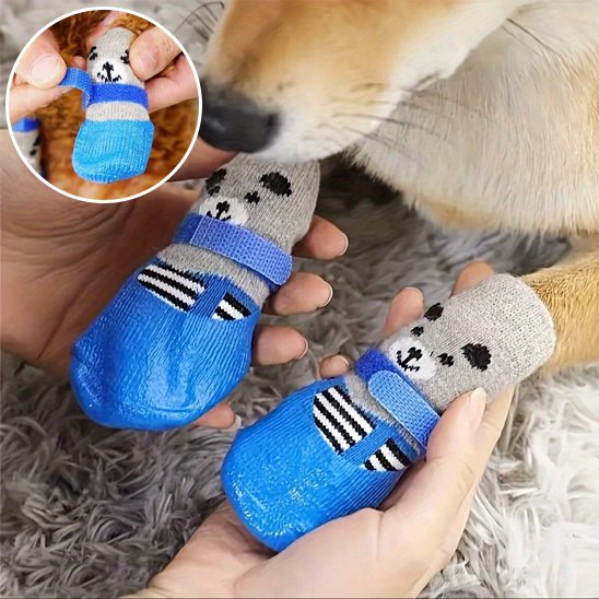 chaussure chien