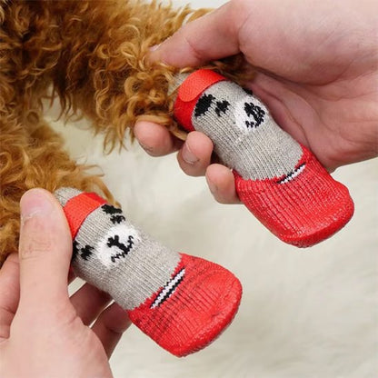 chaussure chien