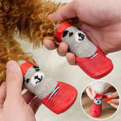 chaussure chien
