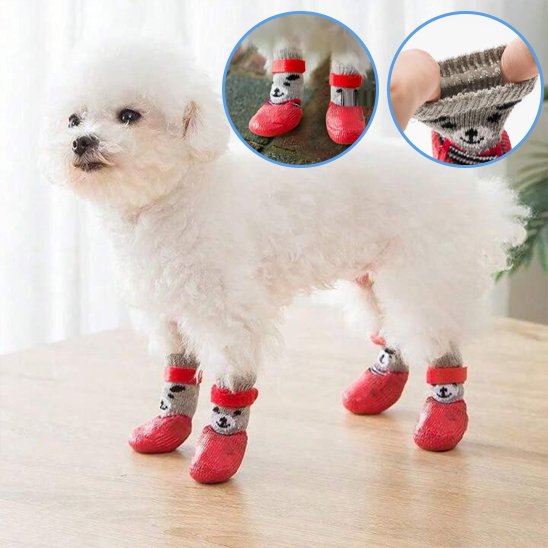 chaussure chien