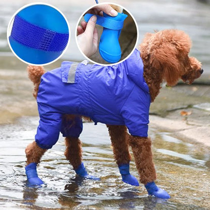 chaussure chien