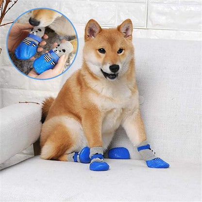 chaussure chien
