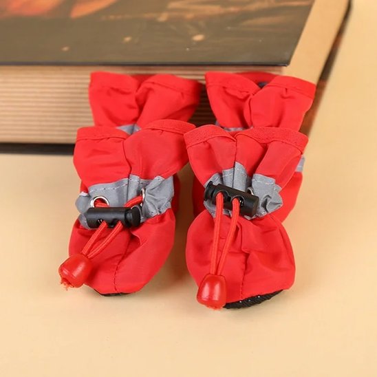 Chaussures chien​
