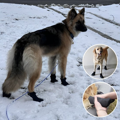Chaussures chien 