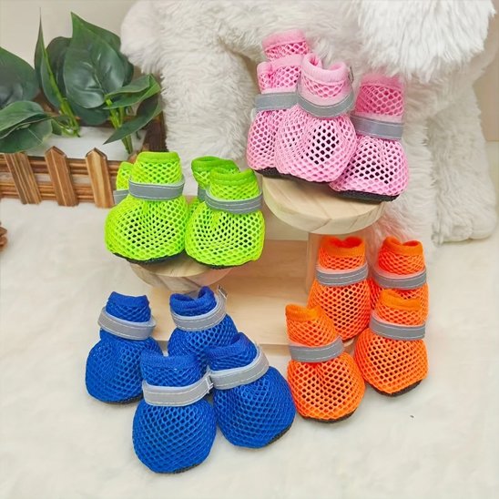 Chaussures chien​