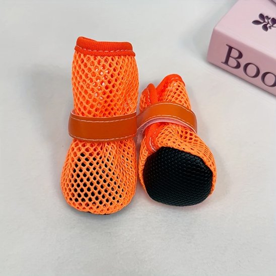 Chaussures chien​