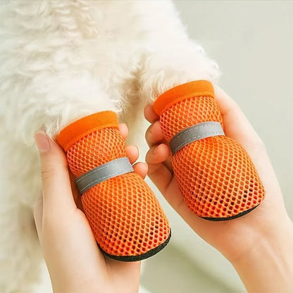 Chaussures chien​