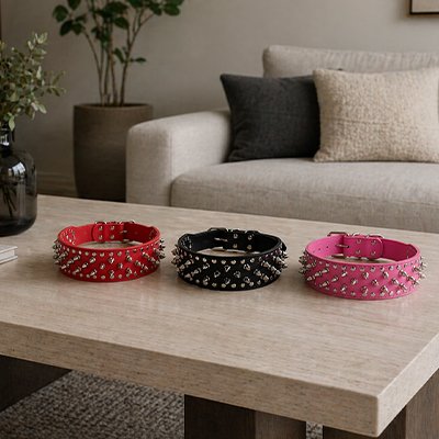 Collier Chien