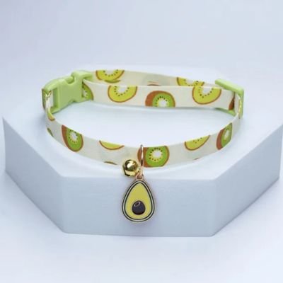 Collier chiot