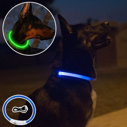 Collier lumineux chien 