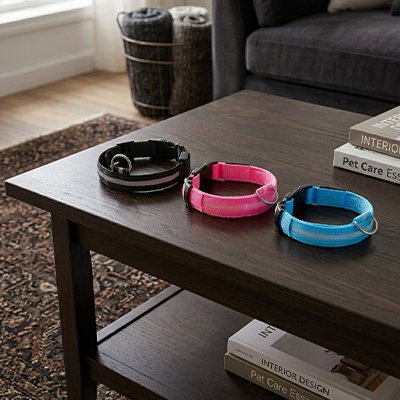 Collier lumineux Chien