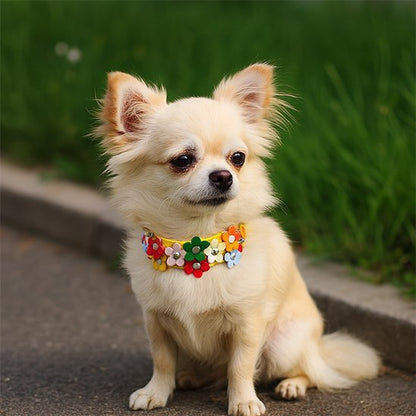 Collier pour chien