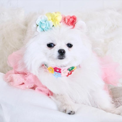 Collier pour chien