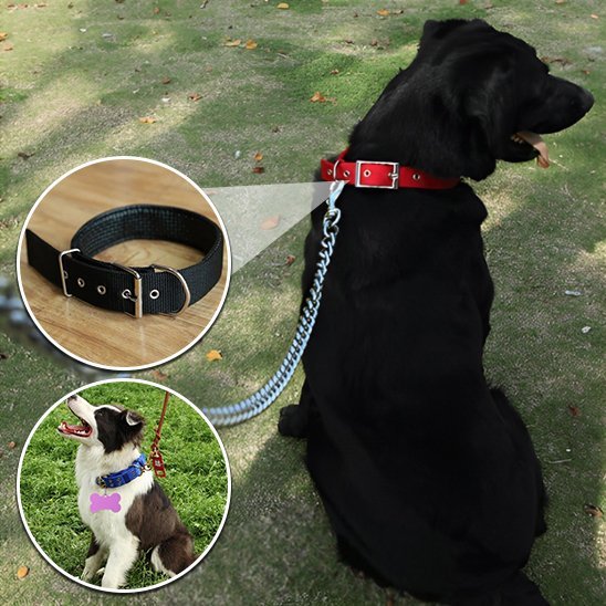 Collier pour chien