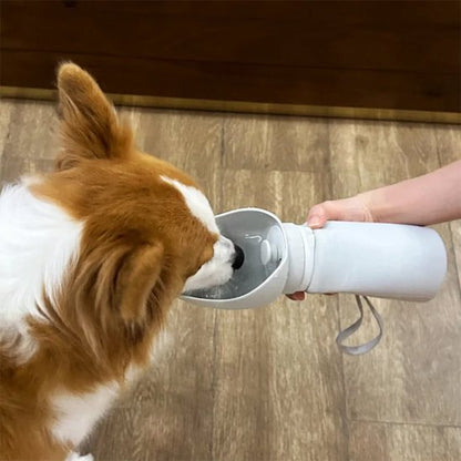 Gourde chien