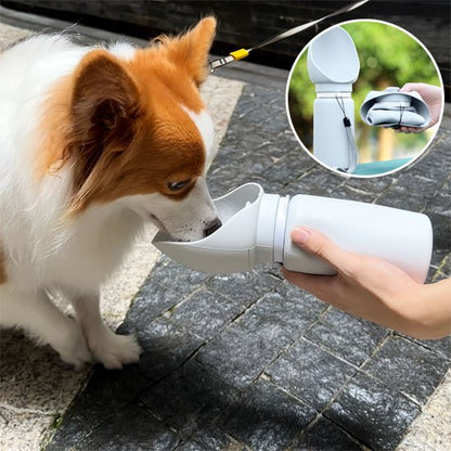 Gourde chien