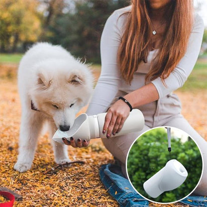 Gourde chien