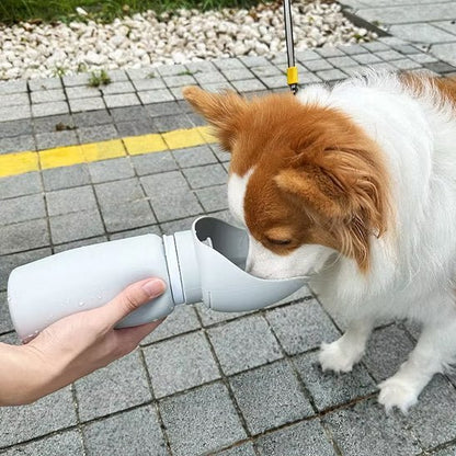 Gourde chien