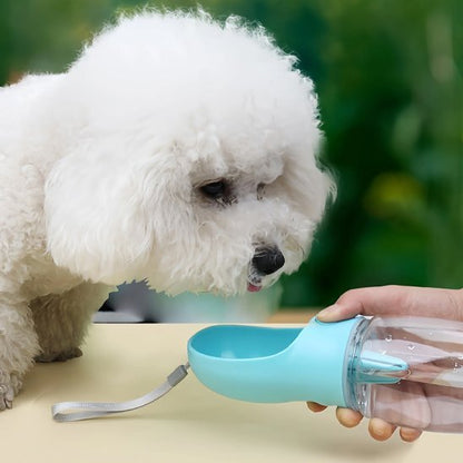 Gourde pour chien