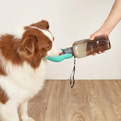 Gourde pour chien​