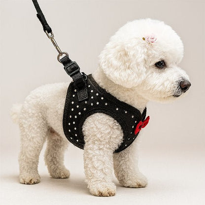 Harnais petit chien