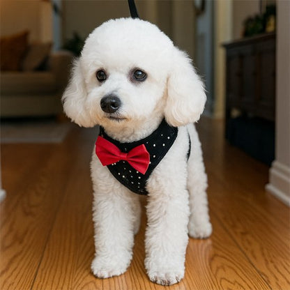 Harnais petit chien