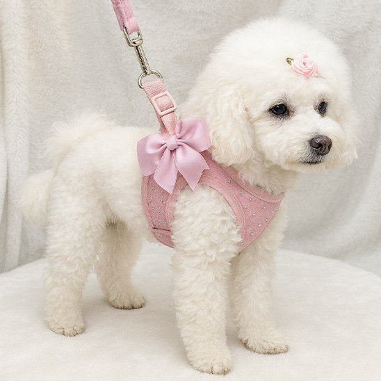 Harnais petit chien