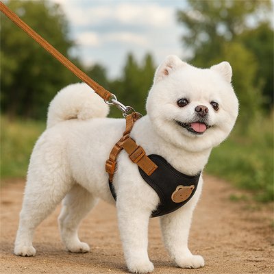 Harnais pour petit Chien