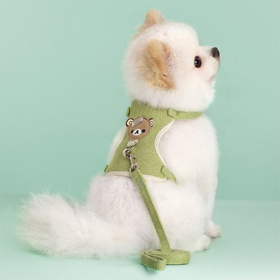 Harnais pour petit chien