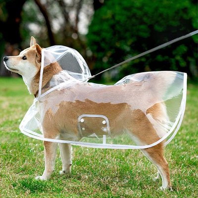 Imperméable pour chien​